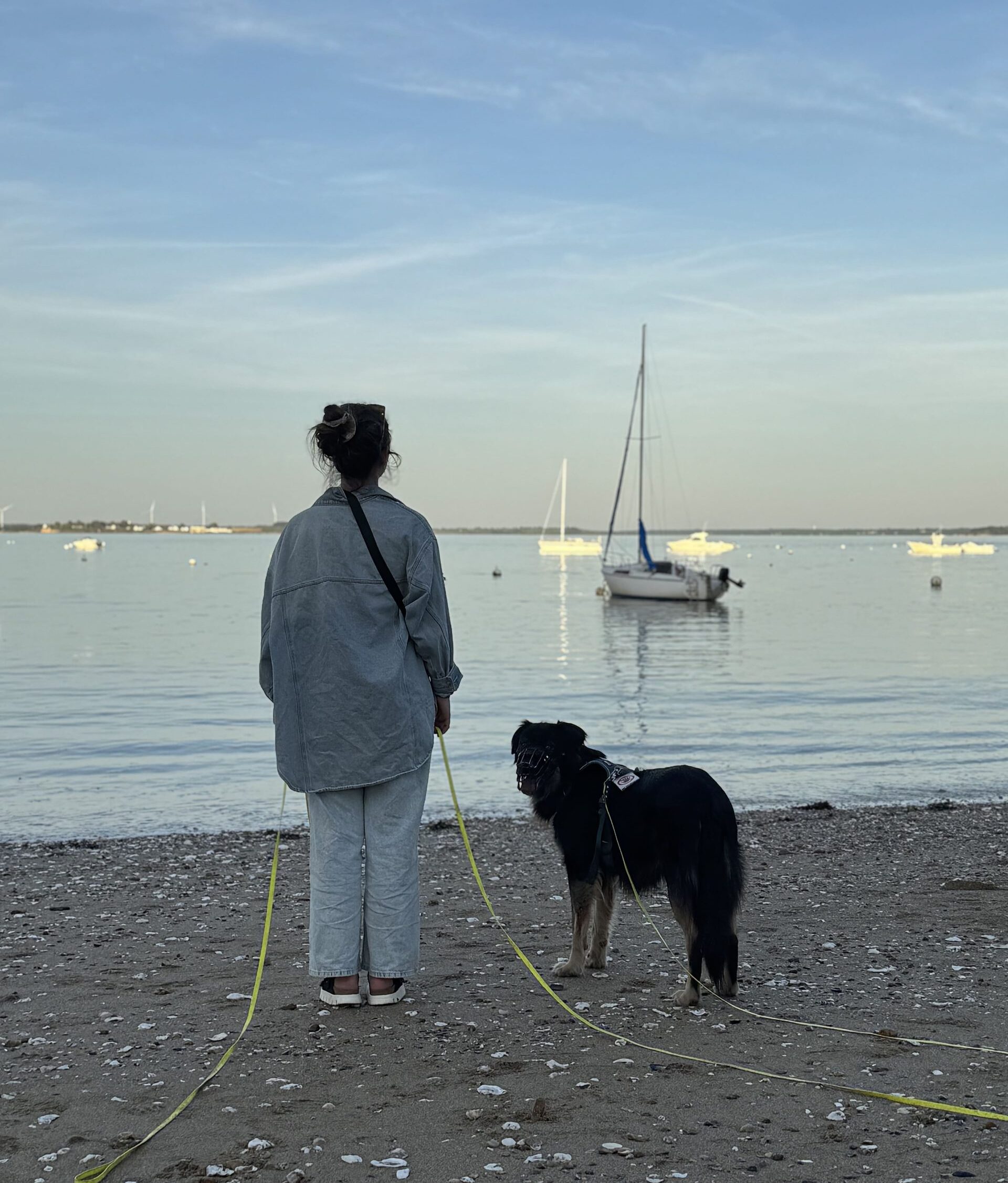 Enora et Bandit au port, regardent le alrge